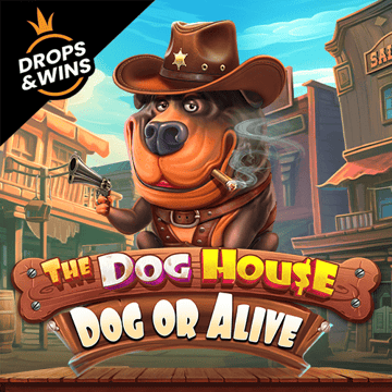 Screenshot della slot 'The Dog House Dog or Alive' di Pragmatic Play che mostra i moltiplicatori e le funzionalità bonus.